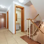 Obsidian Peridotita Adeje Daire